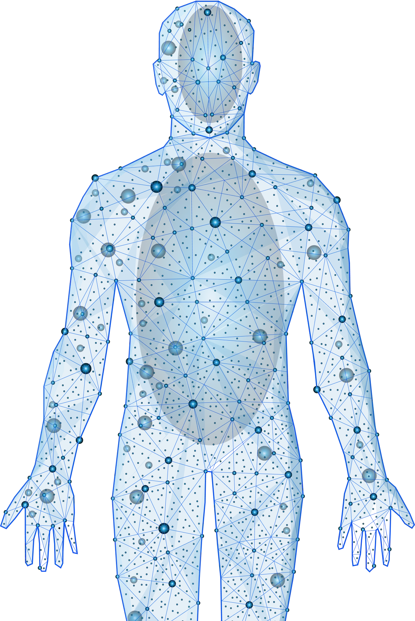 Diagram of the human body with highlighted regions and risk factors